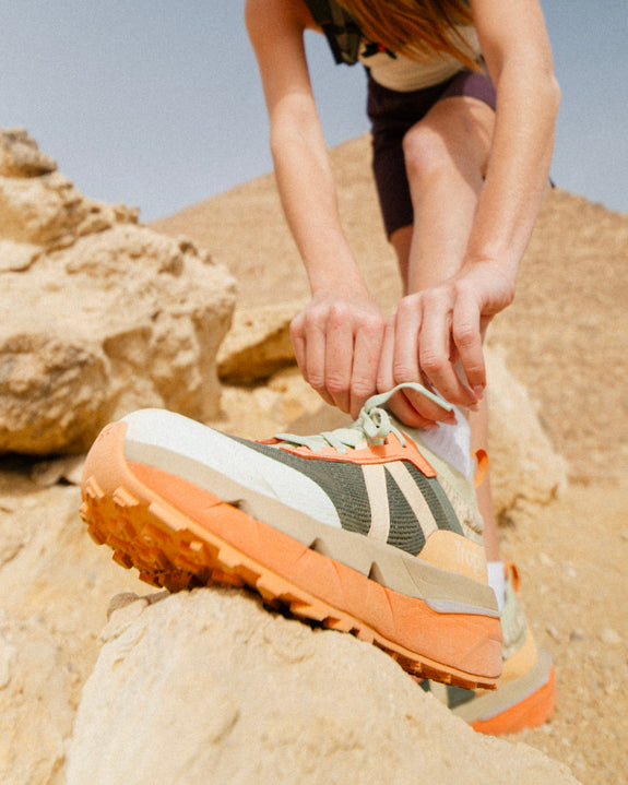 Terra.001 Sea Sunrise