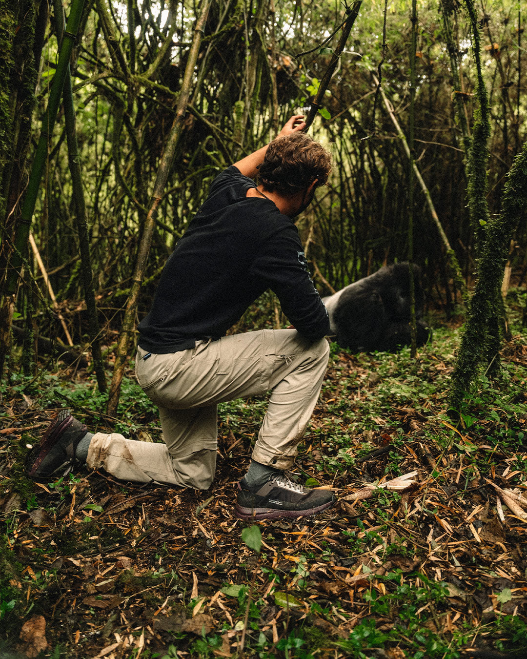 Zenda Coffee Brown | Tropicfeel