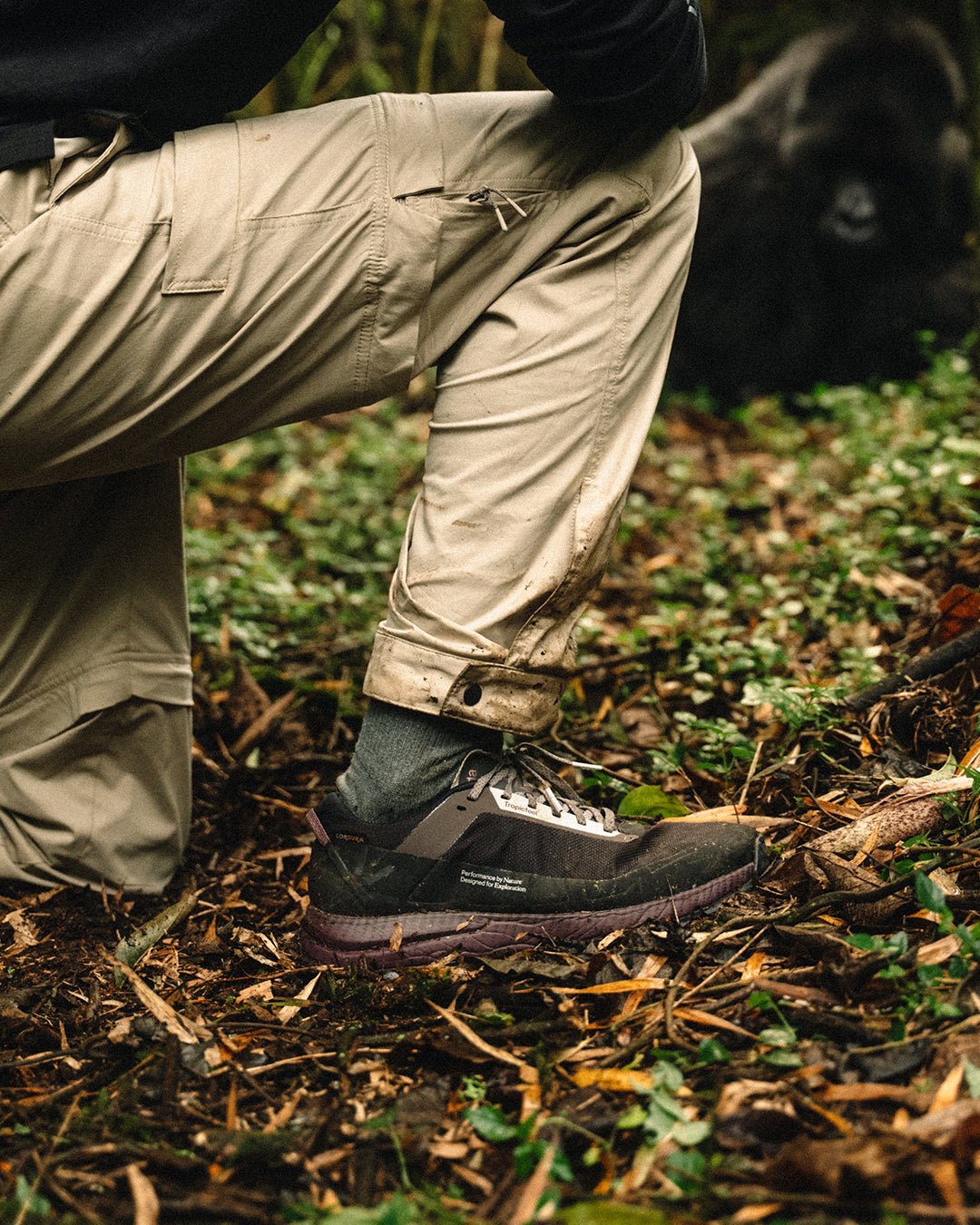 Zenda Coffee Brown | Tropicfeel